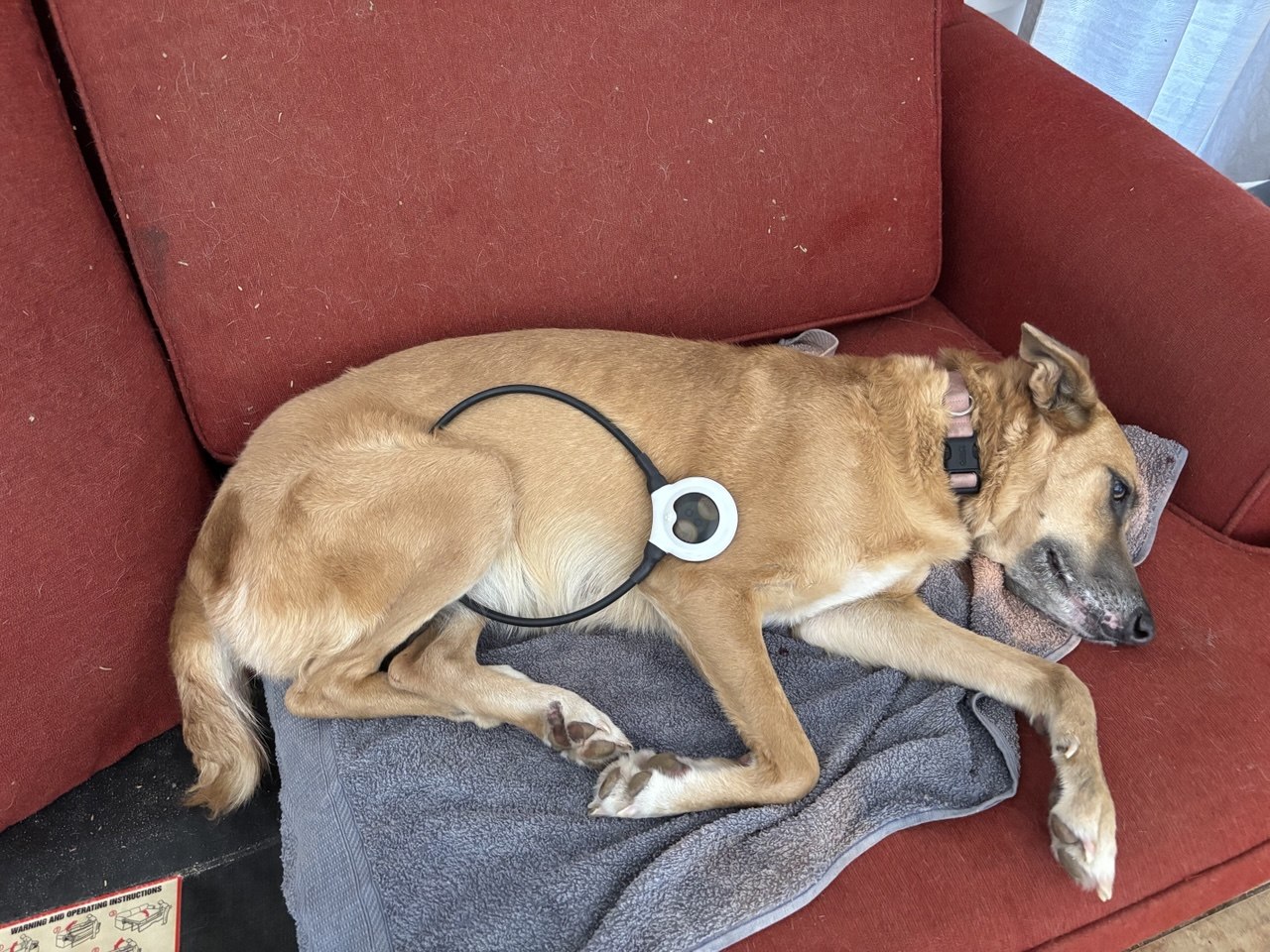 Playa receiving care during treatment